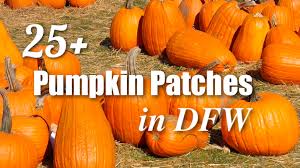 gvine pumpkin patch family eguide