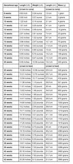 Bright Fetal Length And Weight Chart Baby Chart For Weight