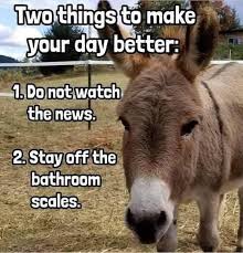 Ana Waters - Ijs...????? #selfcare #selfhelp #donkey #nonews #scale # scales #weight #cheerup #smile #emotionalhealth #silly #shareyourstory  #anawatersbooks #anawatersauthor | Facebook