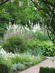 White Flowers Cottage Garden Big