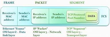 difference between frame and packet