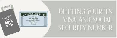 your tn visa and social security number
