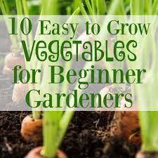 grow vegetables for beginner gardeners