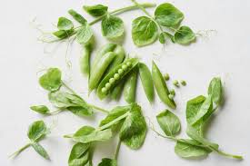 how to use fresh pea shoots