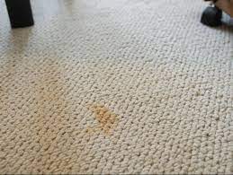 how to deep clean carpet without a