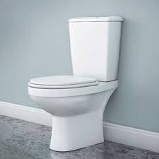 How To Remove Urine Smell From A Toilet