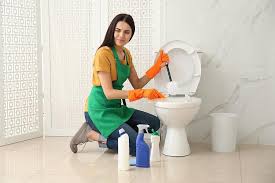 Smelly Toilet Bowl Causes How To