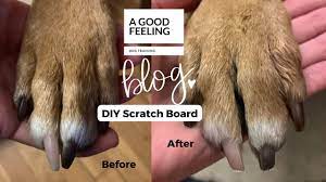 diy dog nail trim scratchboard