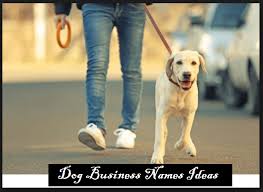 70 Creative Dog Walking Business Names Give A Good Name