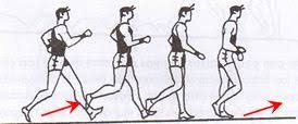 Resultado de imagen de imagenes de la posición de tronco en marcha atlética