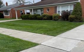 indian trail nc lawn care service