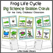 Frog Life Cycle Pocket Chart Pictures And Word Cards