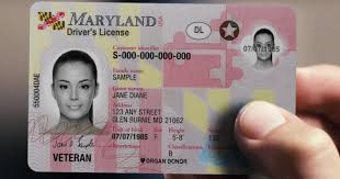 maryland provisional license