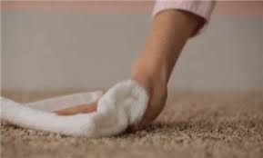 low cost rug cleaning santa rosa