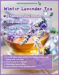 Check spelling or type a new query. What Are The Most Valuable Benefits Of Using Lavender Oil Lavender Tea Benefits Lavender Tea Homemade Tea