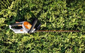 hedge trimmer ing guide stihl