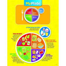 My Plate Chart In 2019 Healthy Eating Healthy Eating For