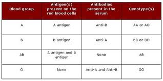 Difference Between Genotype And Blood Group Blood Groups