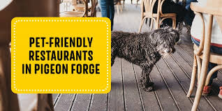 pet friendly restaurants in pigeon forge