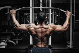 Ectomorph Workout And Diet Plan Muscle Building For Hard