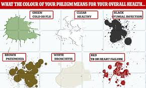 Phlegm Colour Chart What Your Mucus Says About Your Health