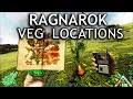 ragnarok vegetable location you
