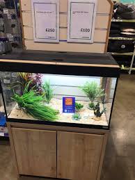Check spelling or type a new query. Pets At Home Dewsbury The Fluval Roma 125 Litre Tank Is Now On Offer 300 For The Tank And Cabinet Pop Into Store And We Will Order You One To