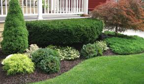 How To Create Natural Edging Beyond