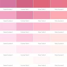 Pink Paint Chart Jaywilson Me
