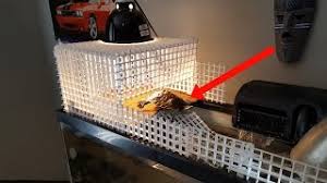 DIY Turtle Basking Area (A How To With Egg Crate) All Turtles