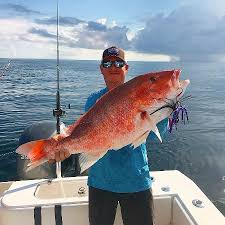 The 10 Closest Hotels To Freeport Texas Fishing Charters