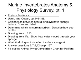 Marine Invertebrates Anatomy Physiology Survey Pt 1