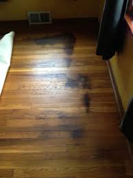 cleaning dog urine from wood floors