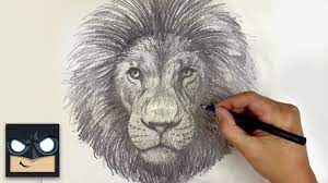 a lion you studio sketch tutorial