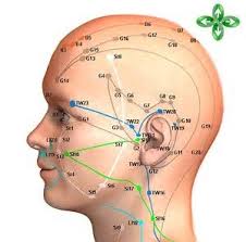 Image Result For Head Meridians Acupressure Treatment