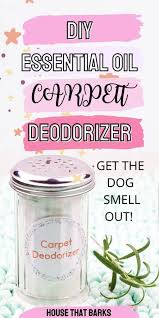 diy essential oil carpet deodorizer for
