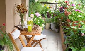 Home Gardening Ideas For Your Home