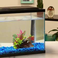 Aquarium Fish Tank Filter Aqua Culture Relaxing 0 5 Gallon Led Kit Glass Water For Sale Online Ebay