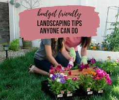 9 Easy Landscaping Tips For Beginners