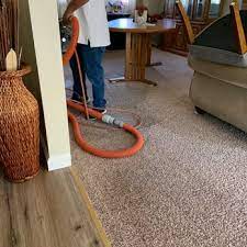 a 1 carpet cleaning cleaners 12