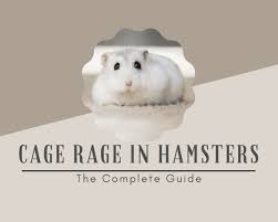 cage rage in hamsters the complete