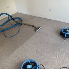 the best 10 carpet cleaning in belfast