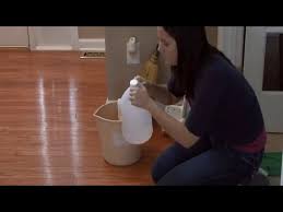 pet urine out of wood floors