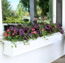 Planting Window Boxes With Shade Loving
