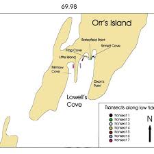 Map Of Long Term Monitoring Site At Lowells Cove On Orrs