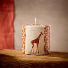 35 superb gifts for giraffe will