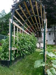 Vertical Vegetable Garden Ideas Over