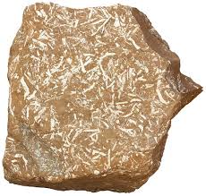 oil shale sedimentary rocks