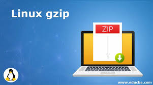 linux gzip top 7 exles to