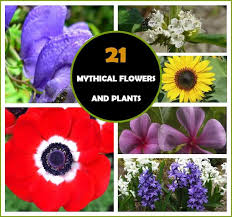 21 Sacred Mythical Flowers And Plants
